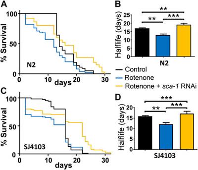 SERCA inhibition improves lifespan and healthspan in a chemical model of Parkinson disease in Caenorhabditis elegans